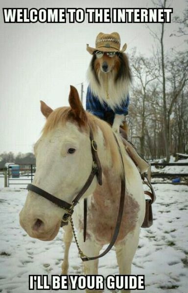 Bildschirmarbeiter - Picdump 24.01.2014