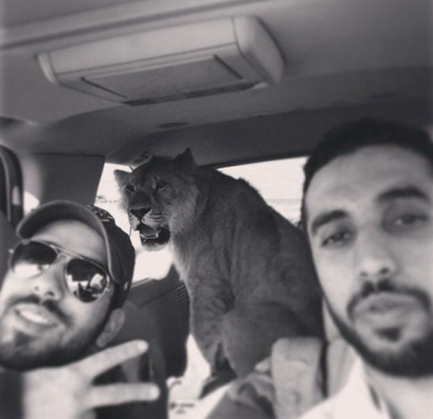 Bildschirmarbeiter - Picdump 24.01.2014