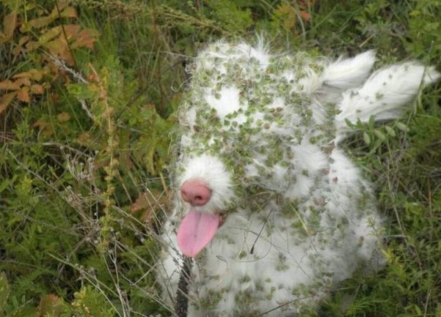 Bildschirmarbeiter - Picdump 24.01.2014