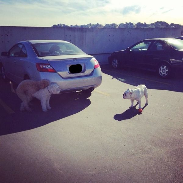 Bildschirmarbeiter - Picdump 24.01.2014