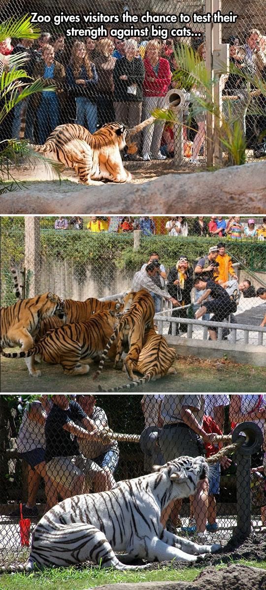 Bildschirmarbeiter - Picdump 24.01.2014