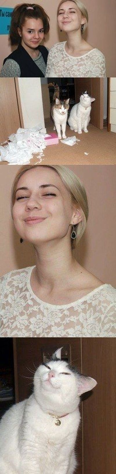 Bildschirmarbeiter - Picdump 07.02.2014