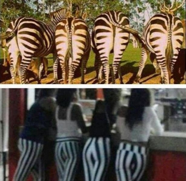 Bildschirmarbeiter - Picdump 07.02.2014