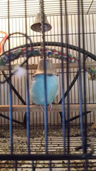 Bildschirmarbeiter - Picdump 07.02.2014