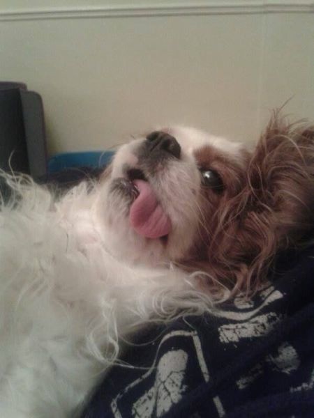 Bildschirmarbeiter - Picdump 07.02.2014