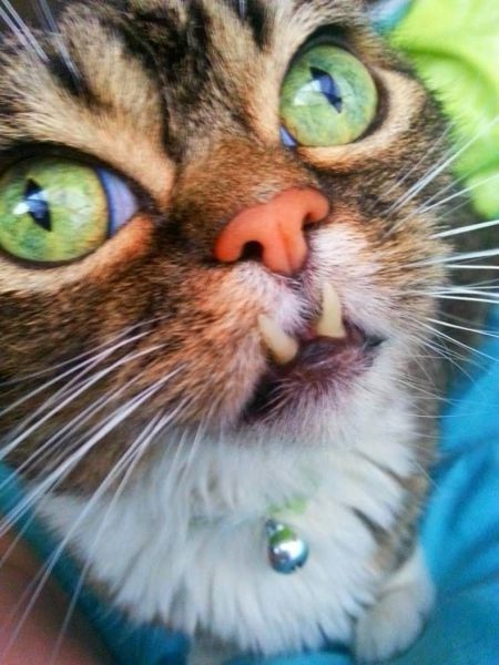 Bildschirmarbeiter - Picdump 07.02.2014