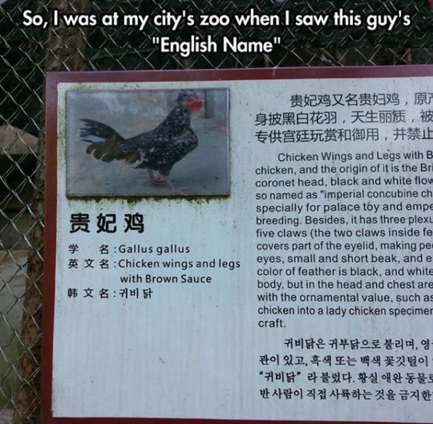 Bildschirmarbeiter - Picdump 07.02.2014