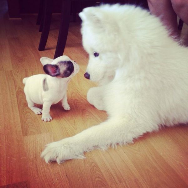 Bildschirmarbeiter - Picdump 14.02.2014