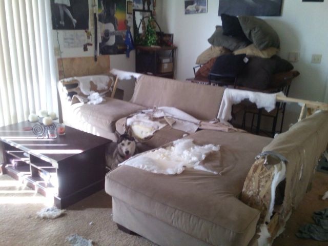 Bildschirmarbeiter - Picdump 14.02.2014