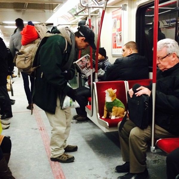 Bildschirmarbeiter - Picdump 14.02.2014