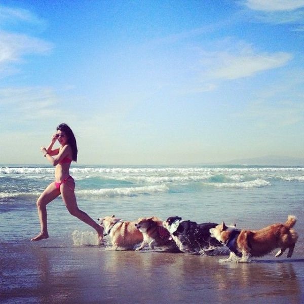 Bildschirmarbeiter - Picdump 14.02.2014