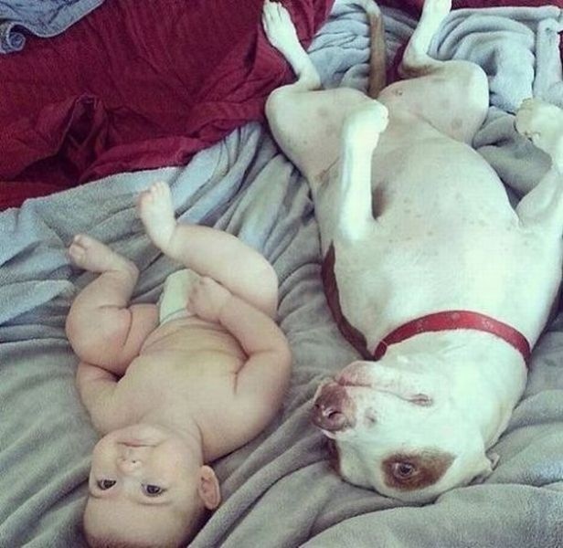 Bildschirmarbeiter - Picdump 14.02.2014