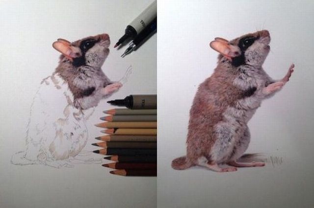 Bildschirmarbeiter - Picdump 14.02.2014