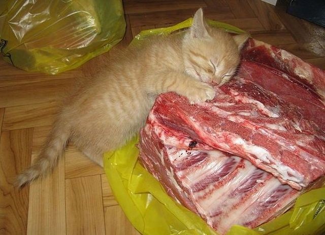 Bildschirmarbeiter - Picdump 14.02.2014