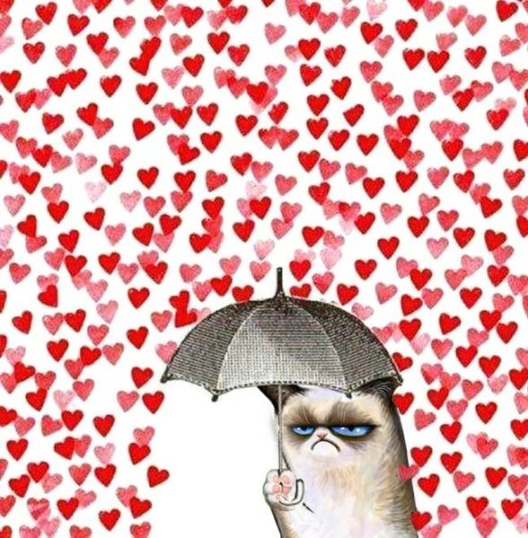 Bildschirmarbeiter - Picdump 14.02.2014