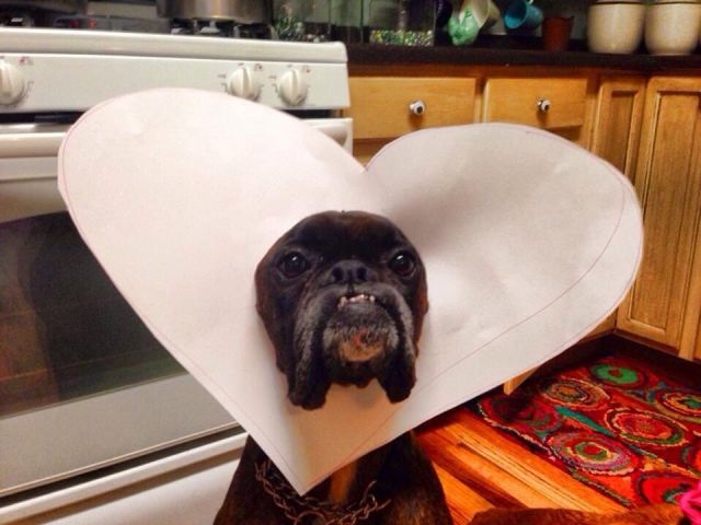 Bildschirmarbeiter - Picdump 14.02.2014