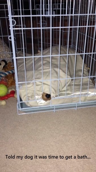 Bildschirmarbeiter - Picdump 14.02.2014