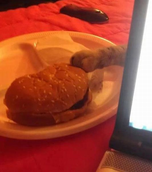 Bildschirmarbeiter - Picdump 14.02.2014