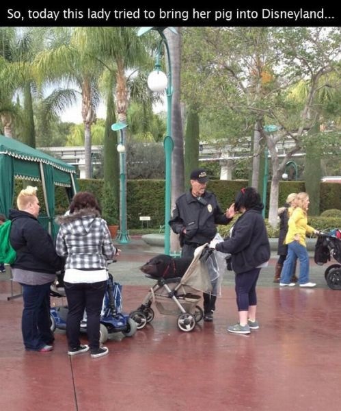 Bildschirmarbeiter - Picdump 14.02.2014