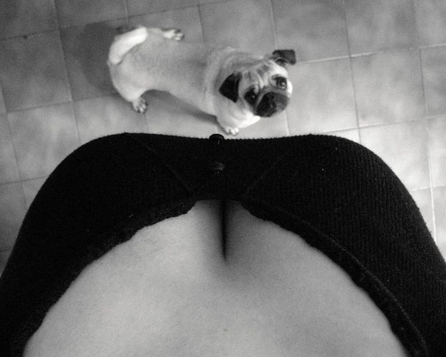 Bildschirmarbeiter - Picdump 14.02.2014