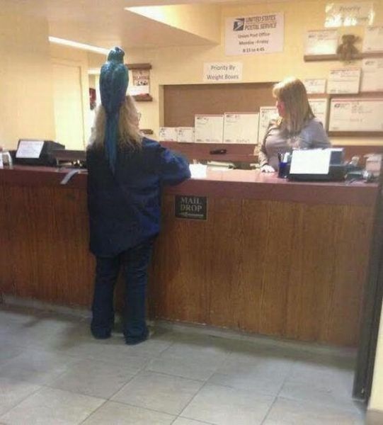 Bildschirmarbeiter - Picdump 14.02.2014