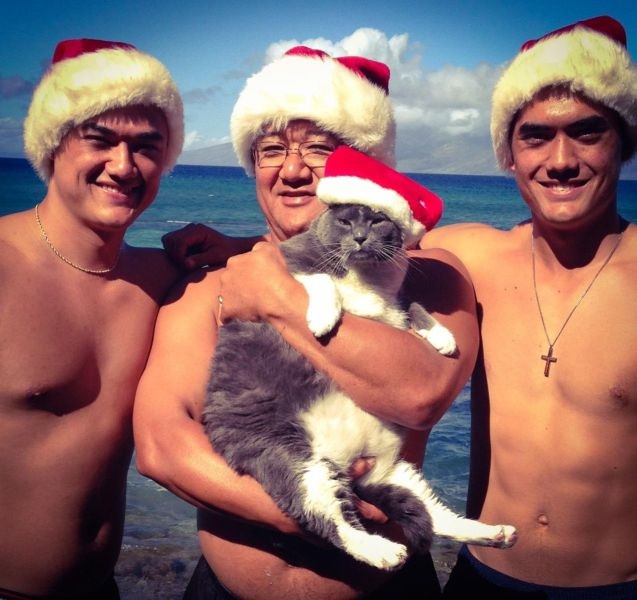 Bildschirmarbeiter - Picdump 14.02.2014