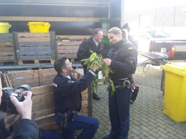 Bildschirmarbeiter - Picdump 21.02.2014