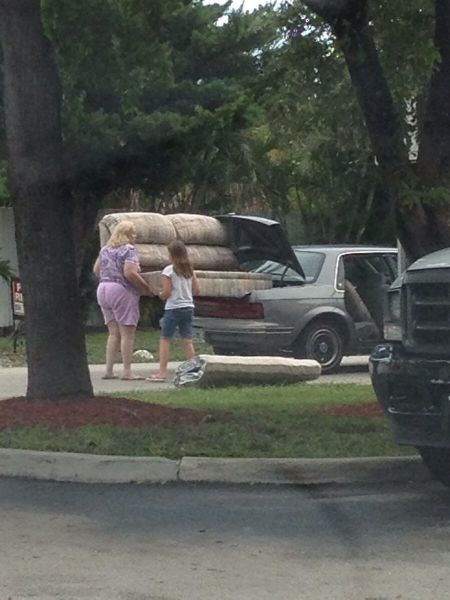 Bildschirmarbeiter - Picdump 21.02.2014