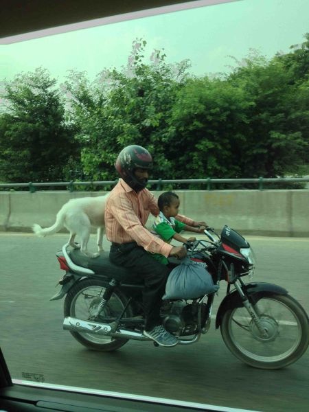 Bildschirmarbeiter - Picdump 21.02.2014