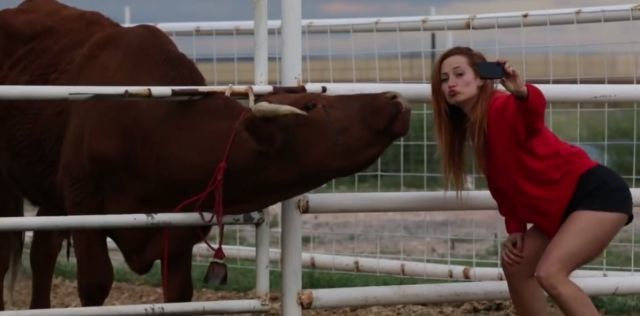 Bildschirmarbeiter - Picdump 21.02.2014