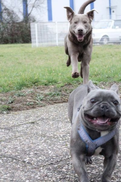 Bildschirmarbeiter - Picdump 21.02.2014