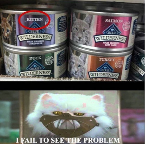 Bildschirmarbeiter - Picdump 21.02.2014