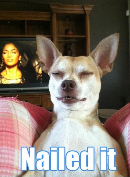 Bildschirmarbeiter - Picdump 21.02.2014