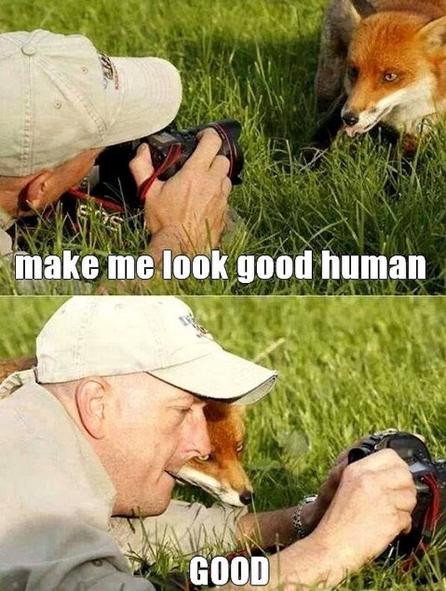 Bildschirmarbeiter - Picdump 21.02.2014