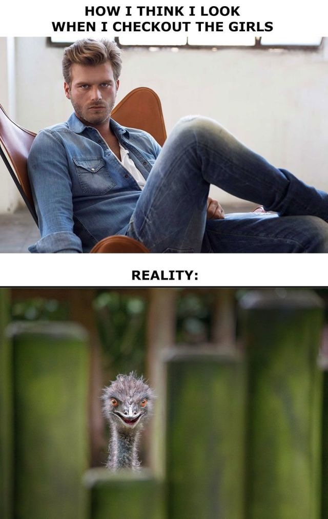 Bildschirmarbeiter - Picdump 21.02.2014