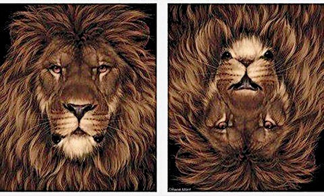 Bildschirmarbeiter - Picdump 21.02.2014