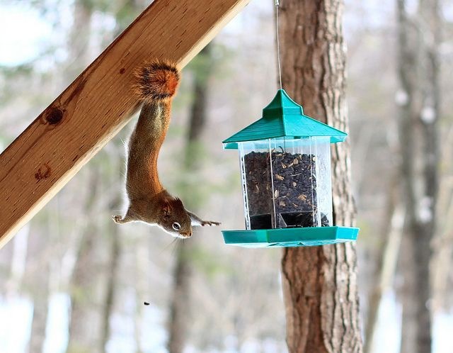 Bildschirmarbeiter - Picdump 21.02.2014