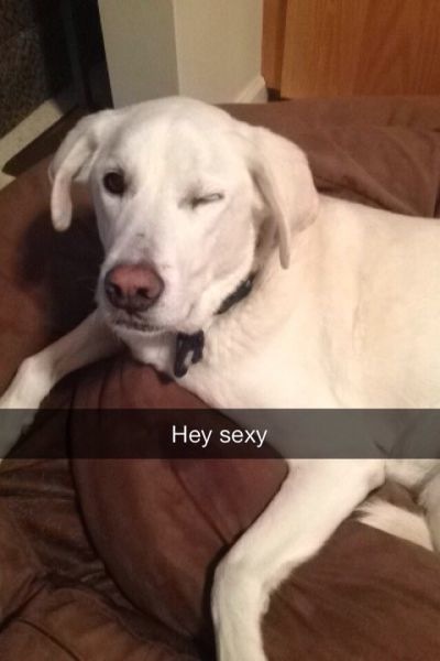 Bildschirmarbeiter - Picdump 21.02.2014