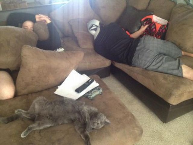 Bildschirmarbeiter - Picdump 21.02.2014