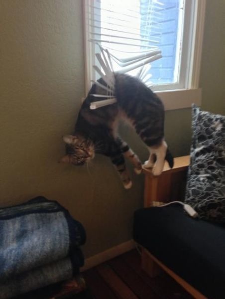 Bildschirmarbeiter - Picdump 21.02.2014