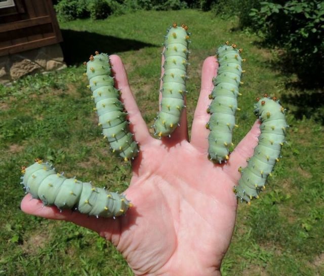 Bildschirmarbeiter - Picdump 21.02.2014