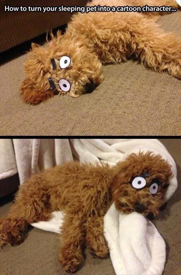 Bildschirmarbeiter - Picdump 21.02.2014