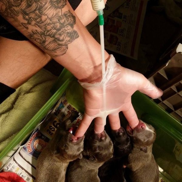 Bildschirmarbeiter - Picdump 28.02.2014