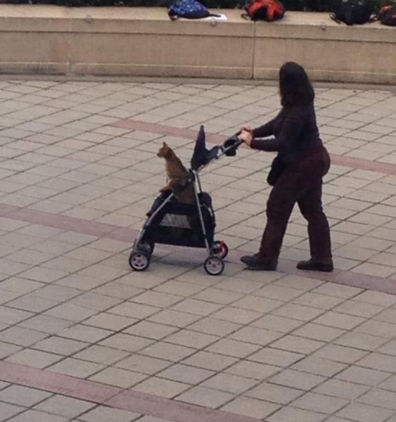 Bildschirmarbeiter - Picdump 28.02.2014