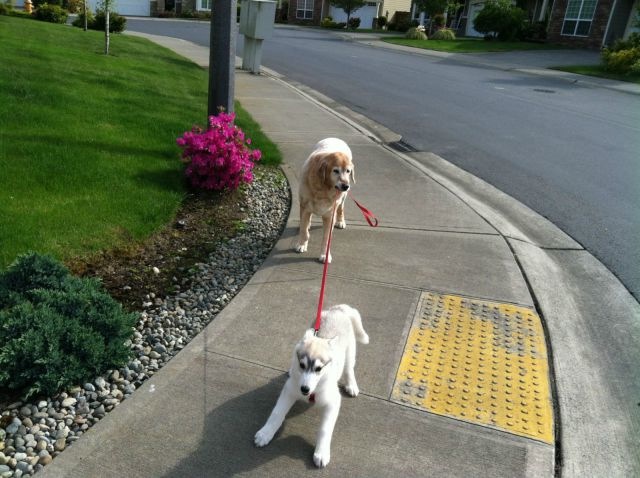 Bildschirmarbeiter - Picdump 28.02.2014