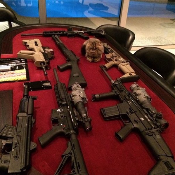 Bildschirmarbeiter - Picdump 28.02.2014