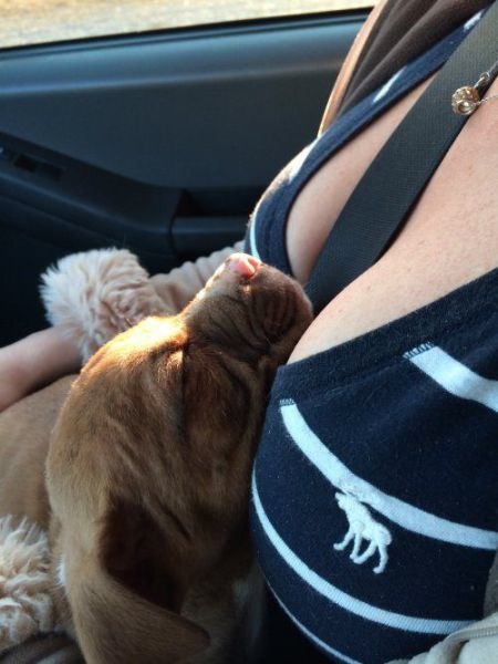 Bildschirmarbeiter - Picdump 28.02.2014