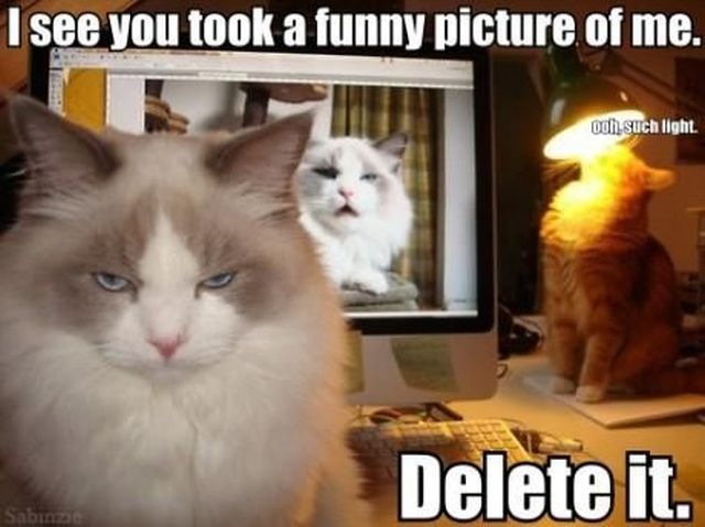 Bildschirmarbeiter - Picdump 28.02.2014