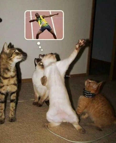 Bildschirmarbeiter - Picdump 28.02.2014