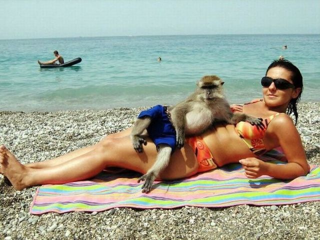 Bildschirmarbeiter - Picdump 28.02.2014